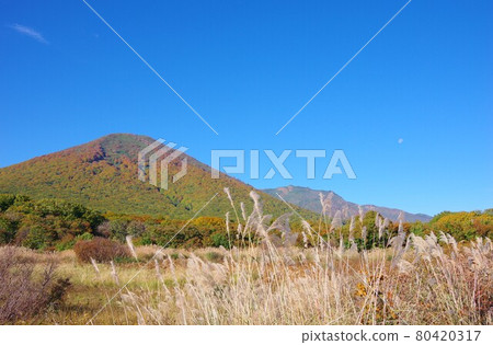 Hakkoda Mountains (Hinadake) during the autumn colors in Aomori Prefecture 80420317