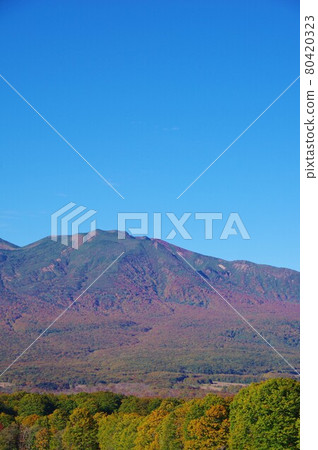 青森縣秋色中的八甲田山脈(伊戶山、赤倉岳、赤倉山) 青森縣秋色中的八甲田山脈(伊戶山、赤倉岳、赤倉山) 80420323