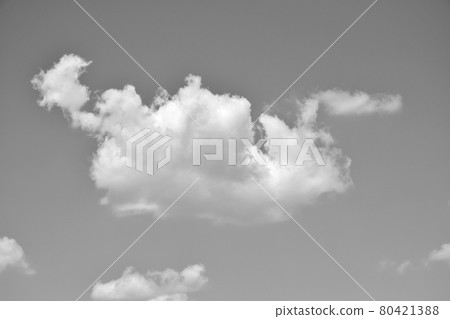 Gently white floating clouds (monochrome): Shredded clouds floating in the summer sky (monochrome) 80421388