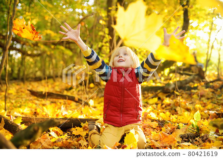 Little boy having fun during stroll in the forest at sunny autumn day. Child playing maple leaves. Baby tossing the leaves up. Active family time on nature. Hiking with little kids. Little boy having fun during stroll in the forest at sunny autumn day. Child playing maple leaves. Baby tossing the leaves up. Active family time on nature. Hiking with little kids. 80421619