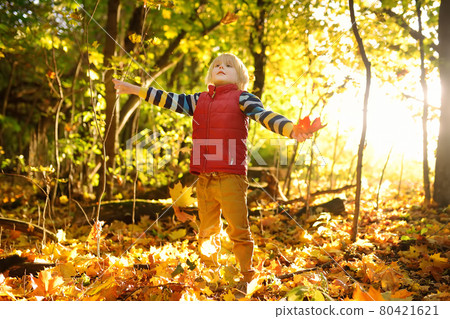 Little boy having fun during stroll in the forest at sunny autumn day. Child playing maple leaves. Active family time on nature. Hiking with little kids. Little boy having fun during stroll in the forest at sunny autumn day. Child playing maple leaves. Active family time on nature. Hiking with little kids. 80421621