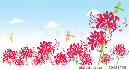 春分周群孤挺花景觀 春分周群孤挺花景觀 80421966