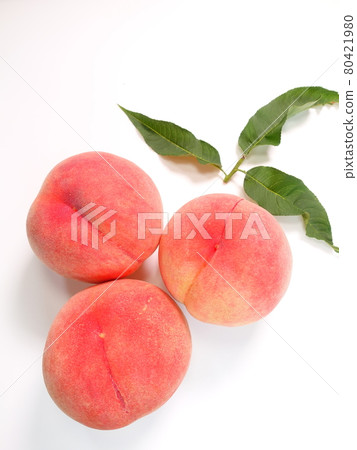 Peach peach peach peach 80421980
