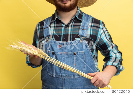 Cropped image of man, farmer with wheat isolated over yellow studio background. Concept of professional occupation, work. 80422040