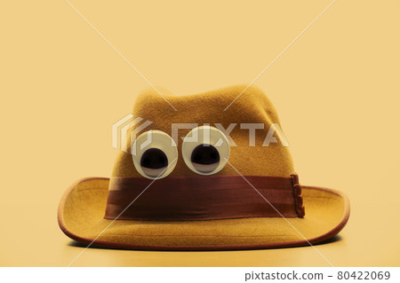 image of tweed hat eyes 80422069