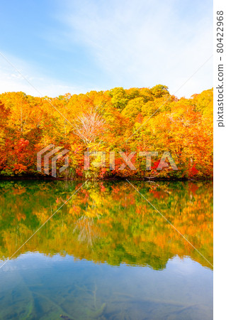 Kamike秋葉 80422968