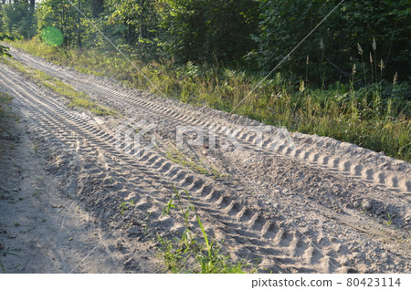 Truck tracks in forest rural road off road 80423114