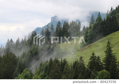 Fog creeping up a mountain side. Distant view of Mount Augstmatthorn. 80423556