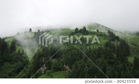 Fog creeping along green mountain meadows. Mystic scene in the Bernese Oberland on a rainy summer day. 80423559