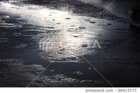 rain puddles on pavement in the city rain puddles on pavement in the city 80423577