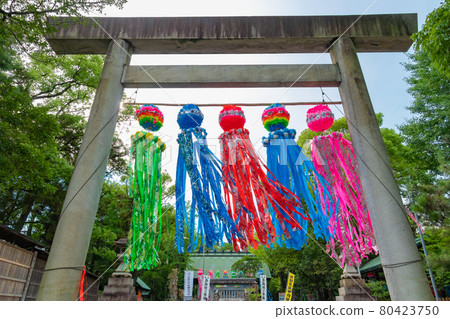 Wakamiya Shinmeisha, Tanabata decoration shines <Ichinomiya City, Aichi Prefecture> 80423750