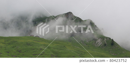 Rural summer scene seen from Planalp, Brienz. Swiss Alps. 80423752