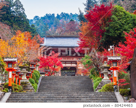 秋天在京都的鞍馬寺 秋天在京都的鞍馬寺 80424463