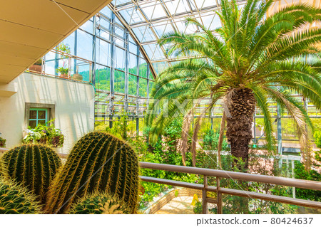 春日井市都市綠化植物園，別稱Greenpia Kasugai <愛知縣春日井市> 80424637