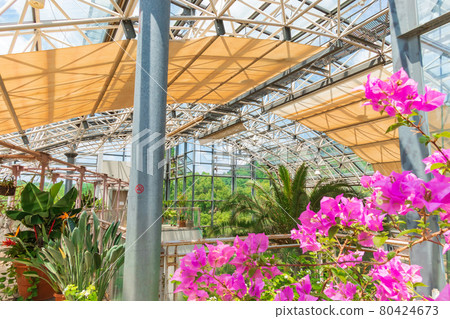 春日井市都市綠化植物園,別稱Greenpia Kasugai <愛知縣春日井市> 春日井市都市綠化植物園,別稱Greenpia Kasugai <愛知縣春日井市> 80424673