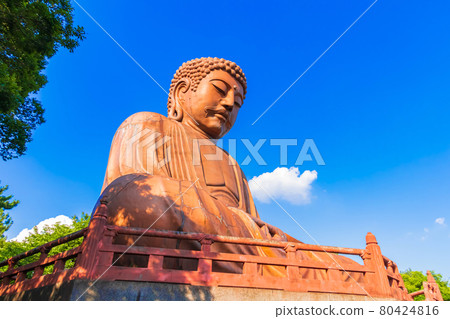 公園內的大佛珠樂園大佛<愛知縣東海市> 公園內的大佛珠樂園大佛<愛知縣東海市> 80424816