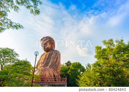 公園內的大佛珠樂園大佛<愛知縣東海市> 公園內的大佛珠樂園大佛<愛知縣東海市> 80424843