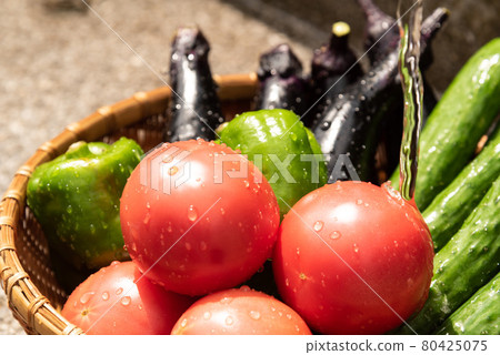 Summer vegetable platter Summer vegetable platter 80425075
