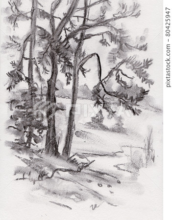 High pines near road High pines near road 80425947