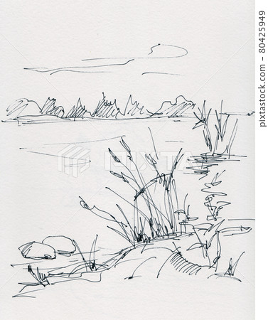 Cane in the river Cane in the river 80425949