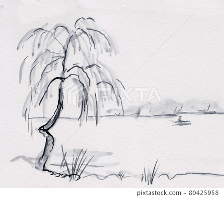 Willow on the bank 80425958