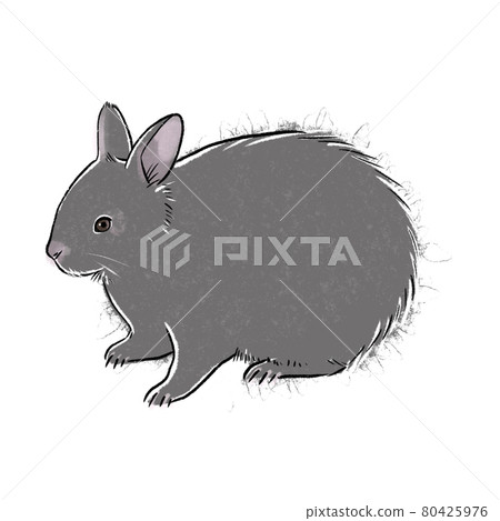 Amamino hare Amamino hare 80425976