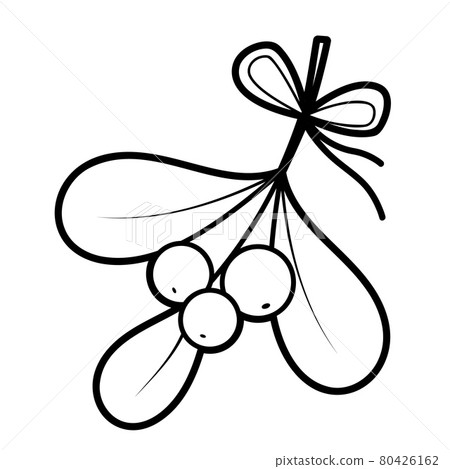Christmas coloring book or page. Viscum and berries black and white vector illustration Christmas coloring book or page. Viscum and berries black and white vector illustration 80426162