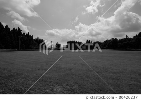 Baseball field (monochrome / grayscale) Baseball field (monochrome / grayscale) 80426237