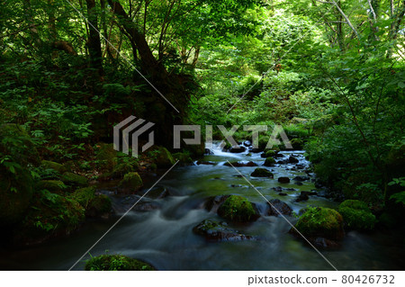 From the Kitanizawa mountain stream From the Kitanizawa mountain stream 80426732