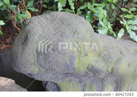 大自然中的庭園石 / 庭園 / 清澄庭園 80427283