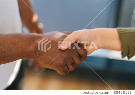 Exteme close-up handshake of Caucasian woman and black male indoors at home office, selective focus. Exteme close-up handshake of Caucasian woman and black male indoors at home office, selective focus. 80428151