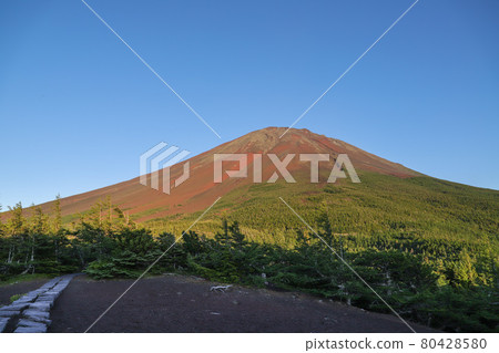 Red Fuji Red Fuji 80428580