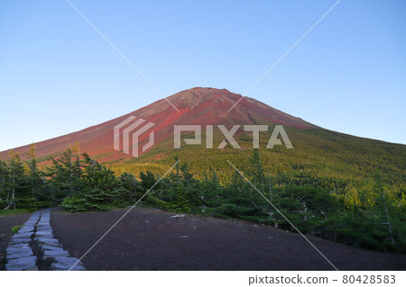 Red Fuji Red Fuji 80428583