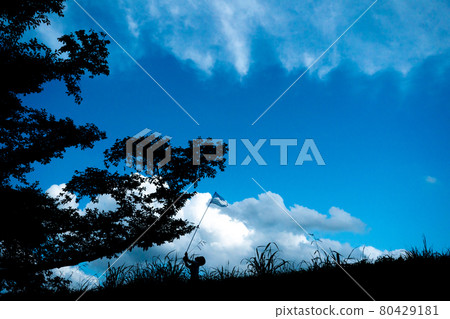 Photographing a boy catching insects at a sewaritei in Yawata City, Kyoto Prefecture 80429181