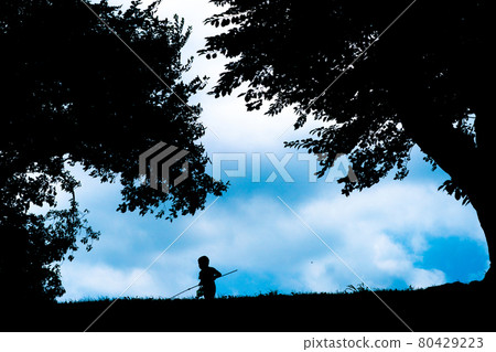 Photographing a boy catching insects at a sewaritei in Yawata City, Kyoto Prefecture 80429223