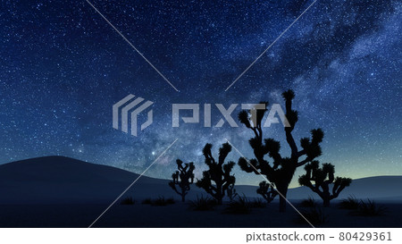 Joshua tree under night sky with Milky Way stars Joshua tree under night sky with Milky Way stars 80429361
