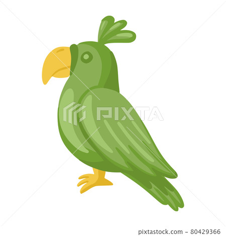 Green parrot isolated isolated on white background. 80429366
