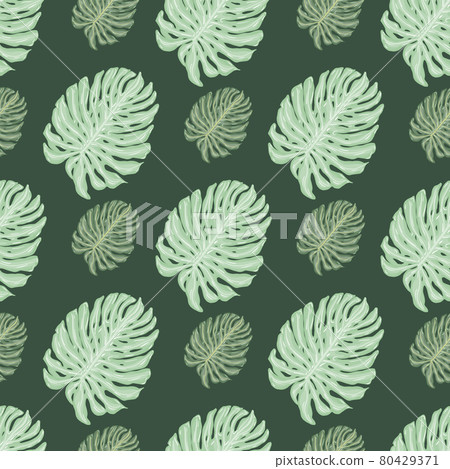Exotic botany seamless pattern in pastel green tones with doodle monstera leaf print. Nature artwork. Exotic botany seamless pattern in pastel green tones with doodle monstera leaf print. Nature artwork. 80429371