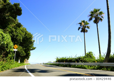 厚見半島夏田原市，愛知縣 80429446