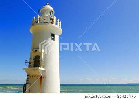 Atsumi Peninsula Summer-Tahara City, Aichi Prefecture 80429479