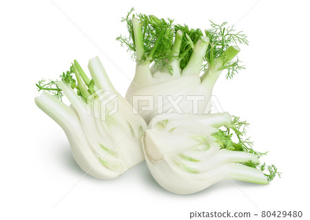fresh fennel bulb isolated on white background with clipping path and full depth of field 80429480