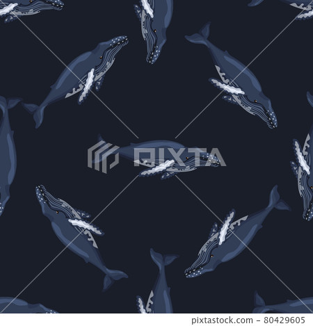 Seamless pattern Humpback whale on black background. Template of cartoon character of ocean for children. 80429605