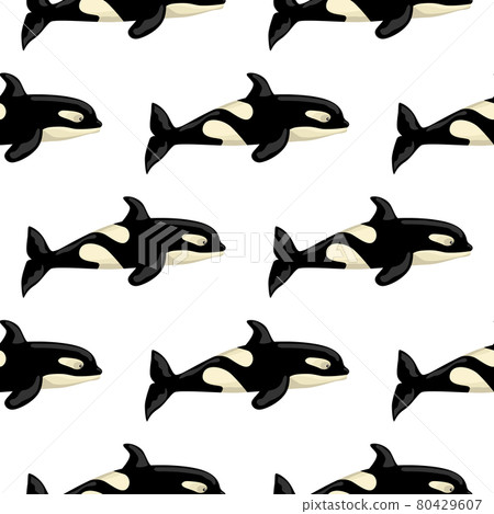 Seamless pattern Orca on white background. Template of cartoon character of ocean for children. Seamless pattern Orca on white background. Template of cartoon character of ocean for children. 80429607