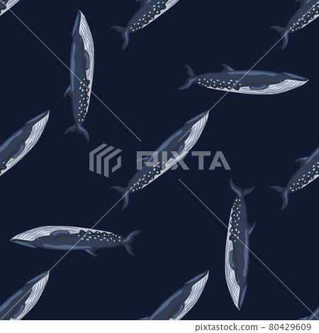Seamless pattern sei whale on black background. Template of cartoon character of ocean for fabric. 80429609