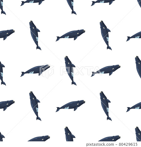 Seamless pattern right whale on white background. Template of cartoon character of ocean for fabric. 80429615
