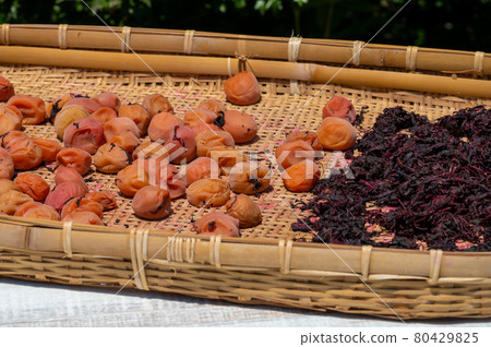 梅干製作，曬乾，7月拍攝 80429825