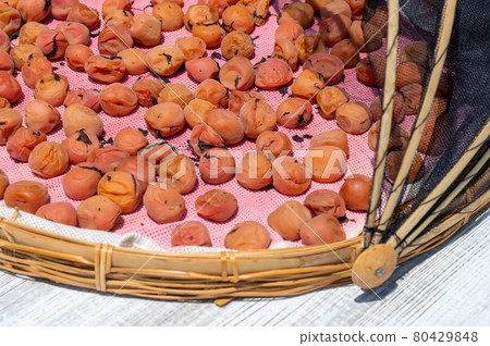 Umeboshi making, sun-dried, taken in July 80429848