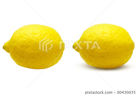 Lemon Illustration Real Set 3 Lemon Illustration Real Set 3 80430035