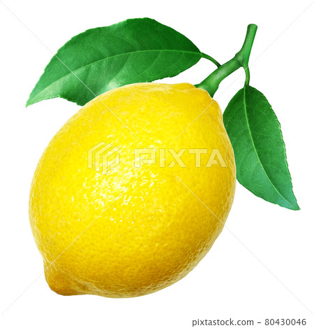 Lemon illustration real bird's-eye view leaf Lemon illustration real bird's-eye view leaf 80430046