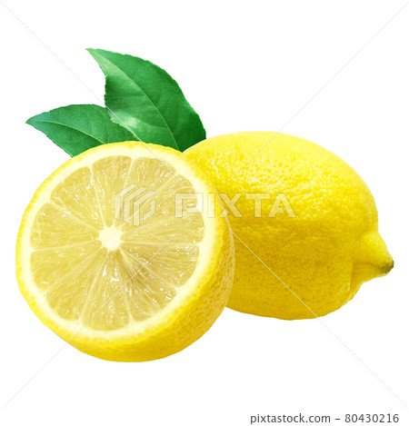 Lemon Illustration Real Set Cross Section 2 80430216